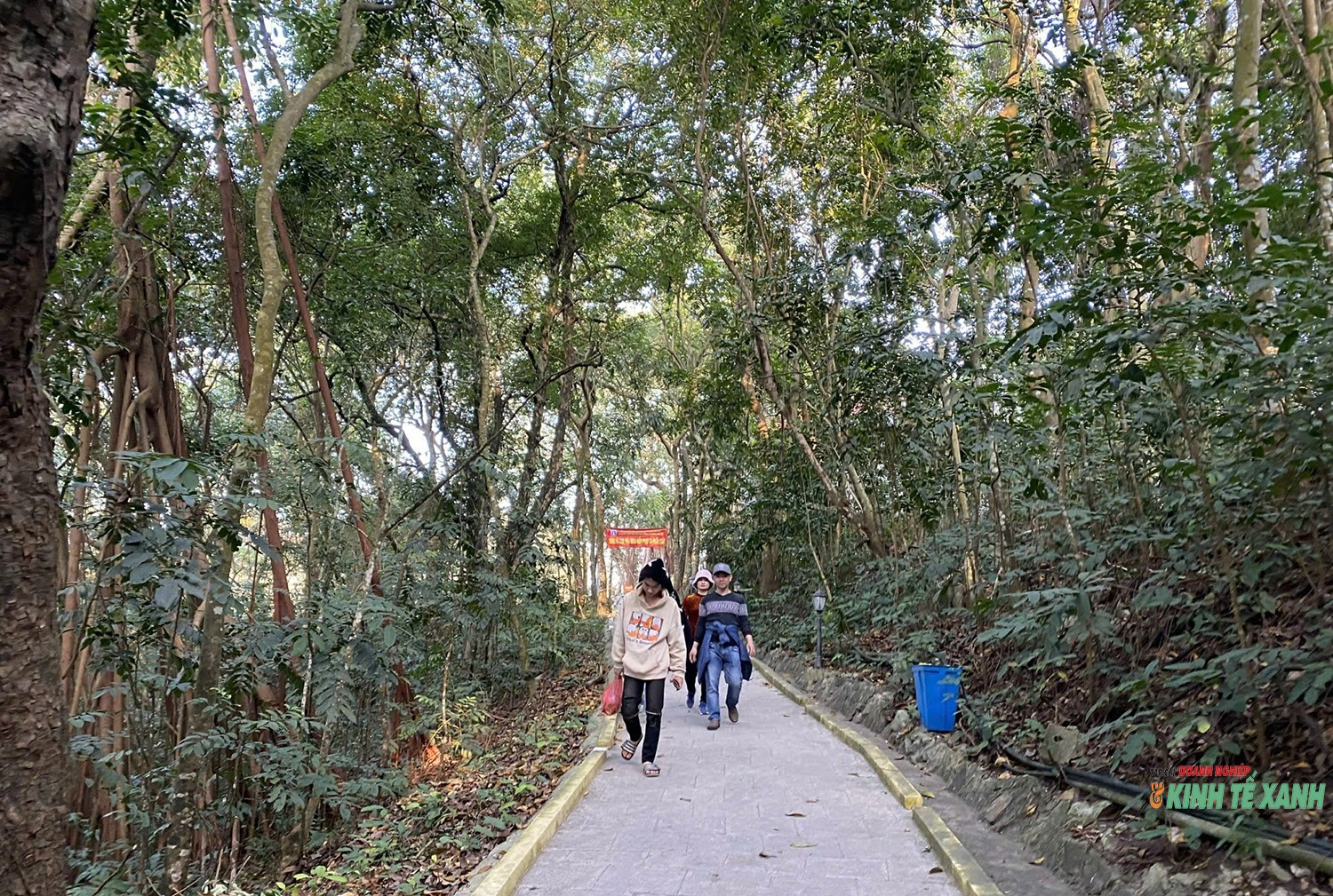 dao-dau1-1774421114.jpg