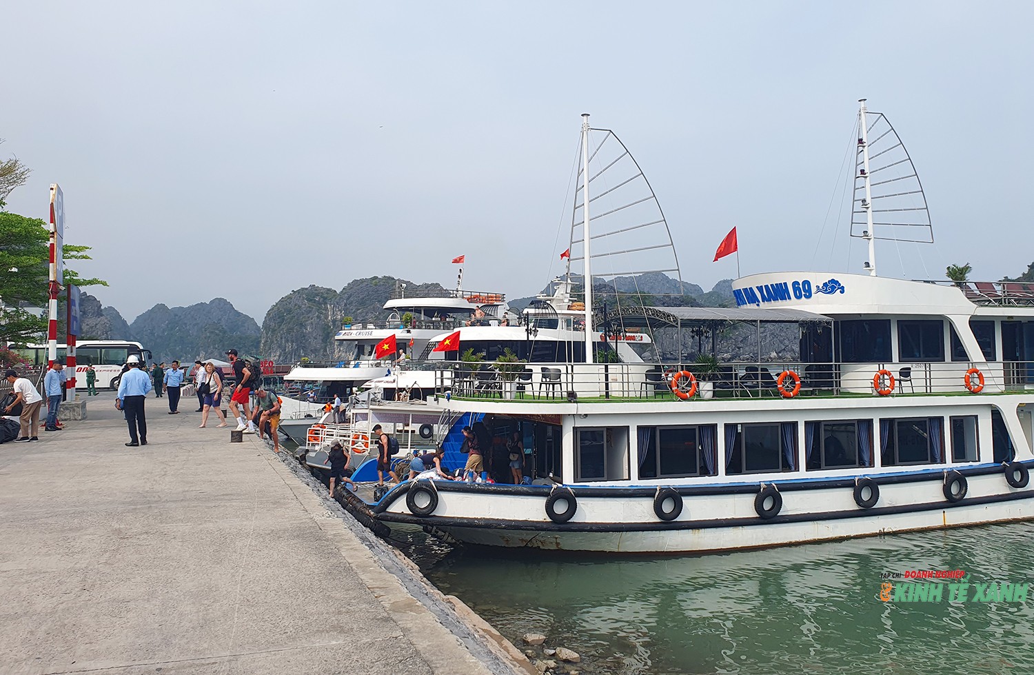 khai-mac-cat-ba3-1774712621.jpg