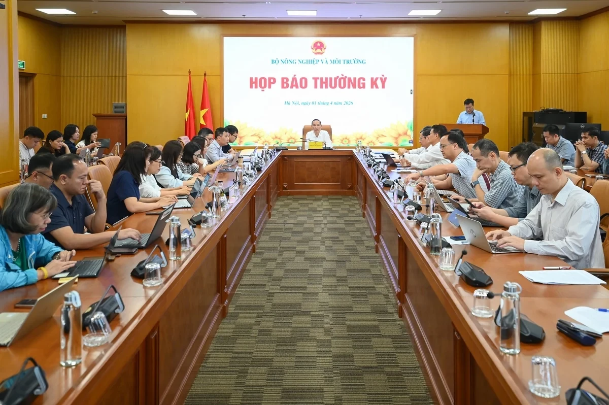 hop-bao-1-093905-835-094839-1775035492.webp