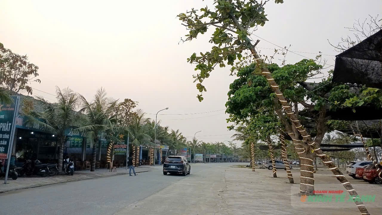 td8-1775394806.jpg