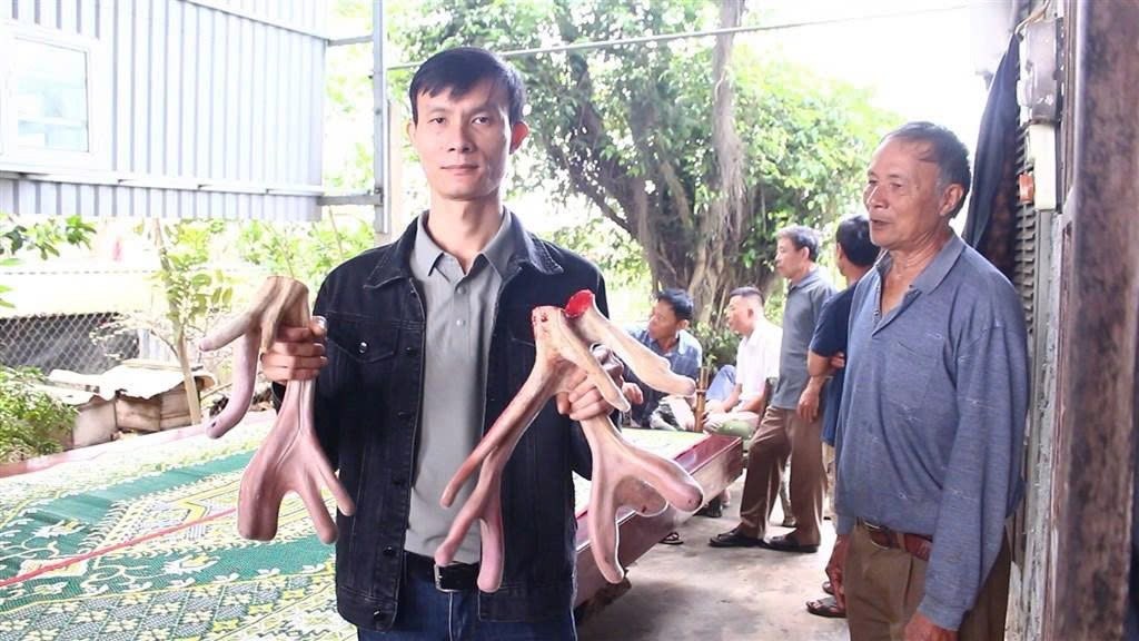 huou-nai-quynh-anh3-1775551256.jpg