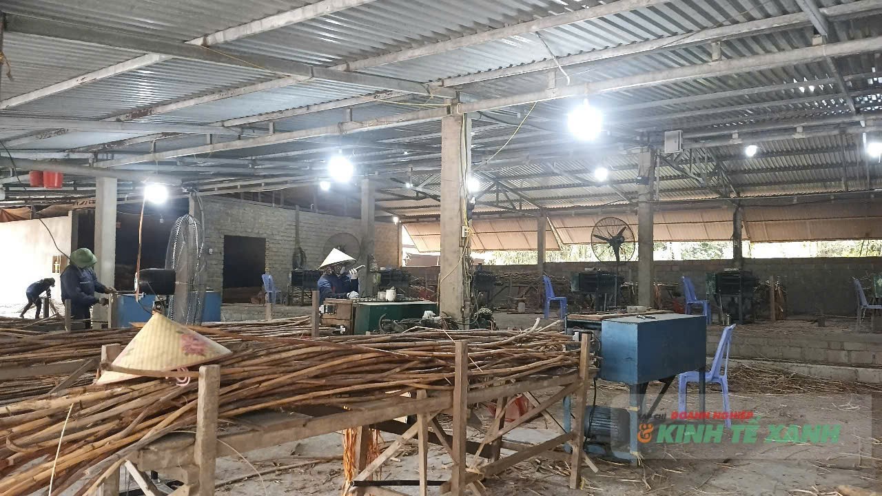 mtd5-1775690775.jpg