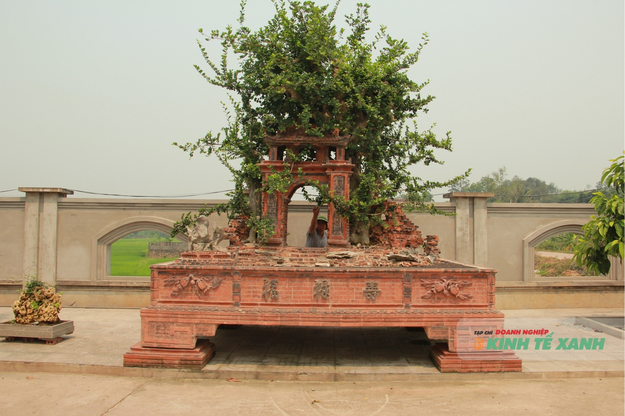 duoi-7-1775999787.JPG