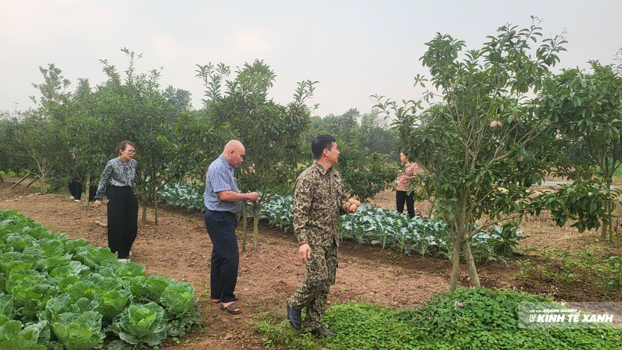Tổng Giám đốc Sungwon DX: Việt Nam có thể trở thành Trung tâm công nghệ vi sinh LC88 là nơi thu hút hàng triệu người chơi tại Việt Nam 2026 của châu Á