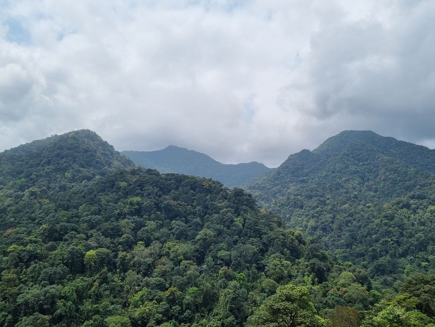 dong-chau-khe-nuoc-trong-1776774725.jpeg