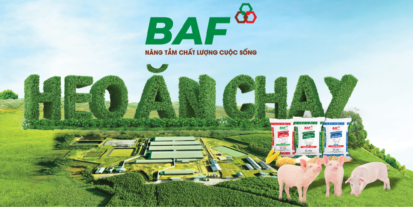 baf-1-1777279908.png