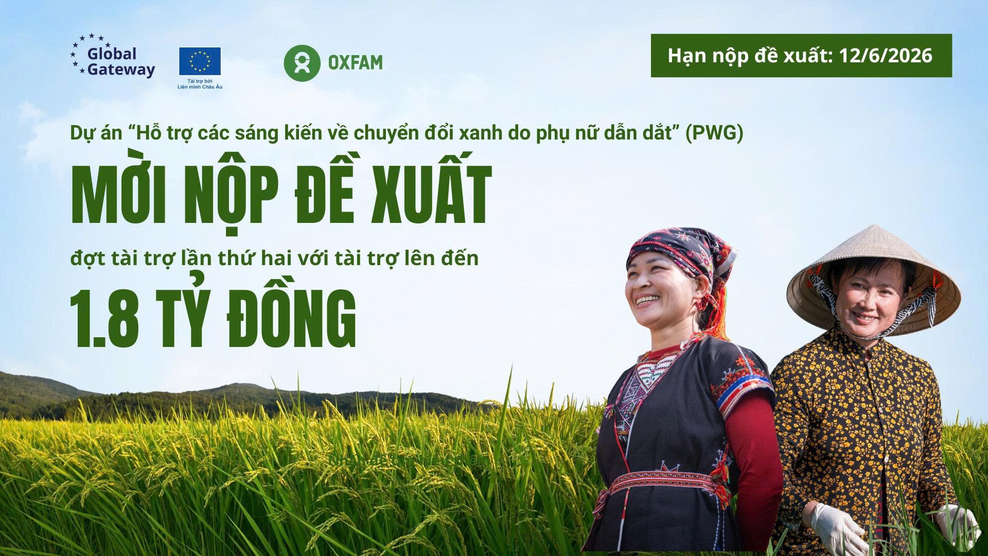 anh1-1778229842.jpg