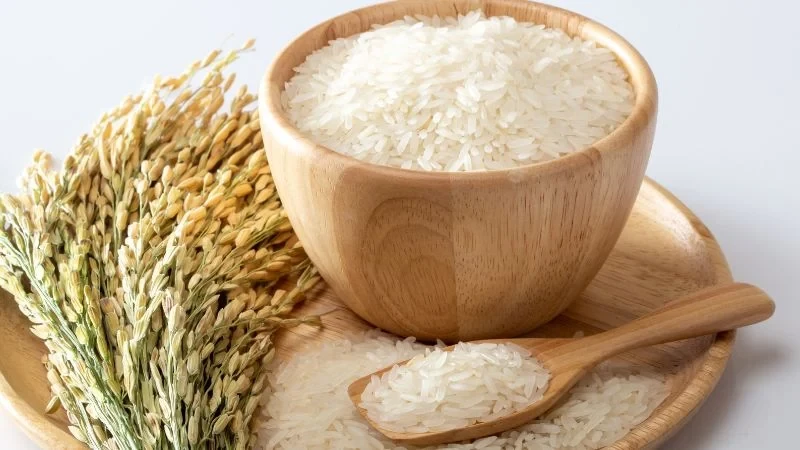 Giá lúa gạo hôm nay 13/5/2026: Duy trì ổn định