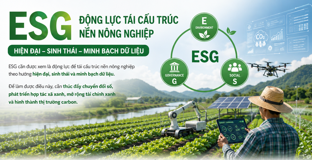 doanh-nghiep-esg-1778730019.png
