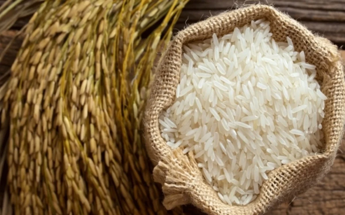 Giá lúa gạo hôm nay 14/5/2026:  Giá lúa tươi tăng nhẹ