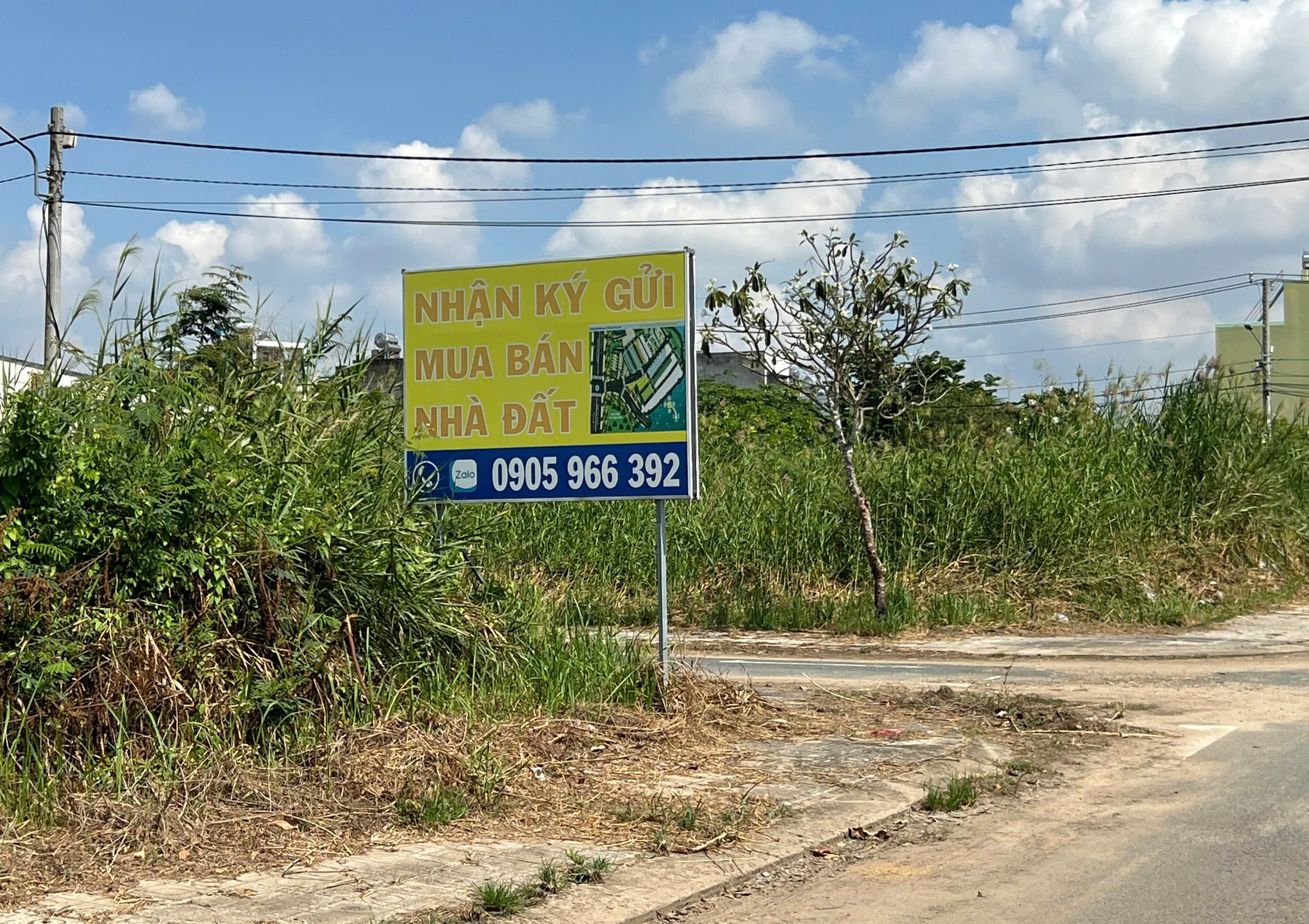 05-1778805761.jpg