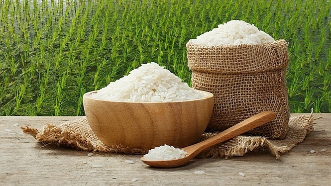 Giá lúa gạo hôm nay 15/5/2026: Biến động nhẹ