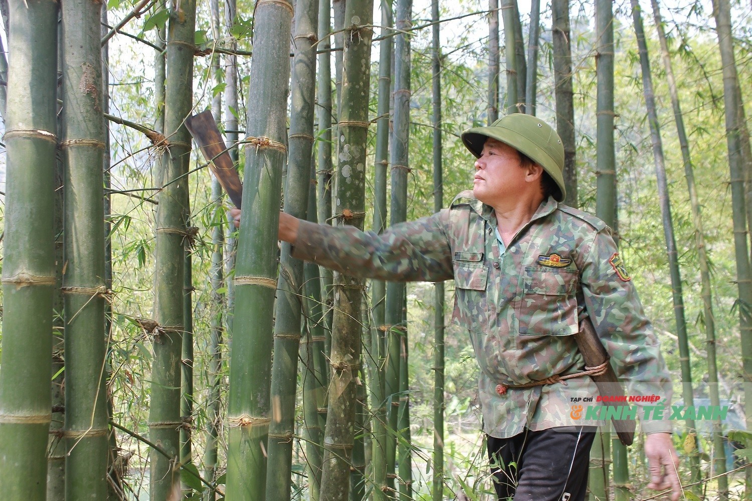 thien-nhien-1778856466.jpg