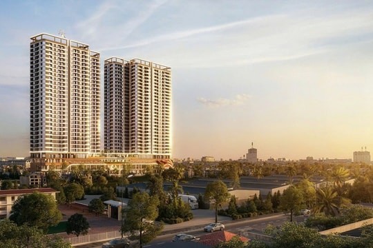 dien-dan-2-1779412758.jpg