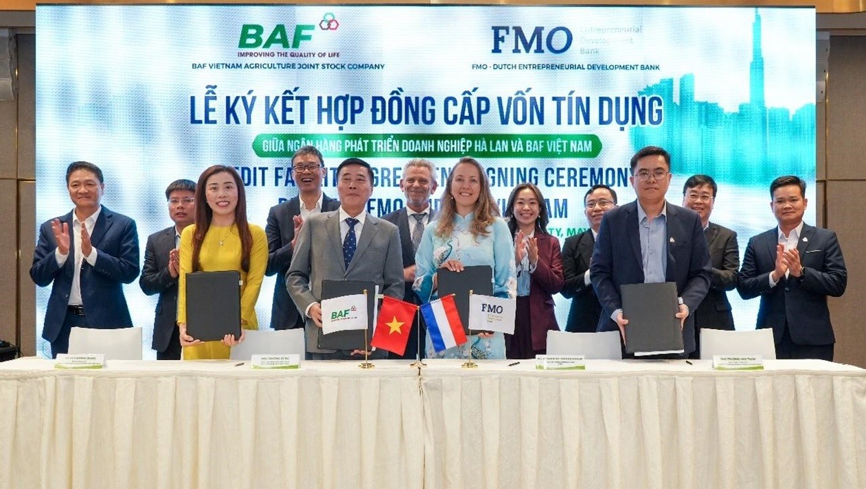baf-1779506949.jpg