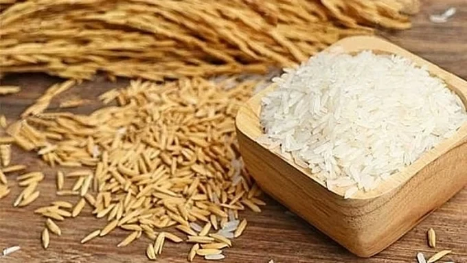 Giá lúa gạo hôm nay 25/5/2026: 10Lc88 Giải Trí Thể Thao ổn định, gạo Sân Chơi Lc88.com Web Uy Tín duy trì mức cao