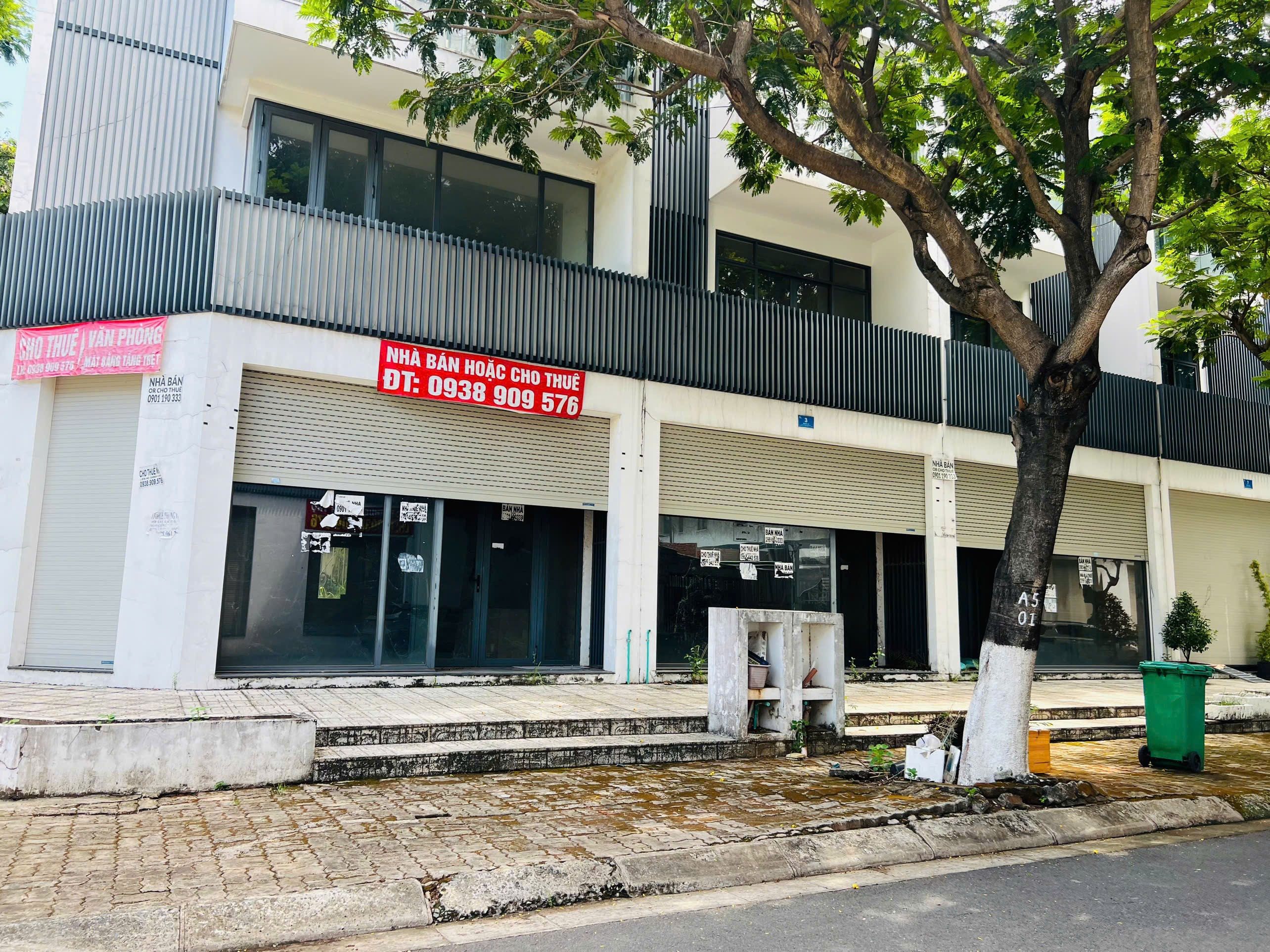 10-1779774802.jpg