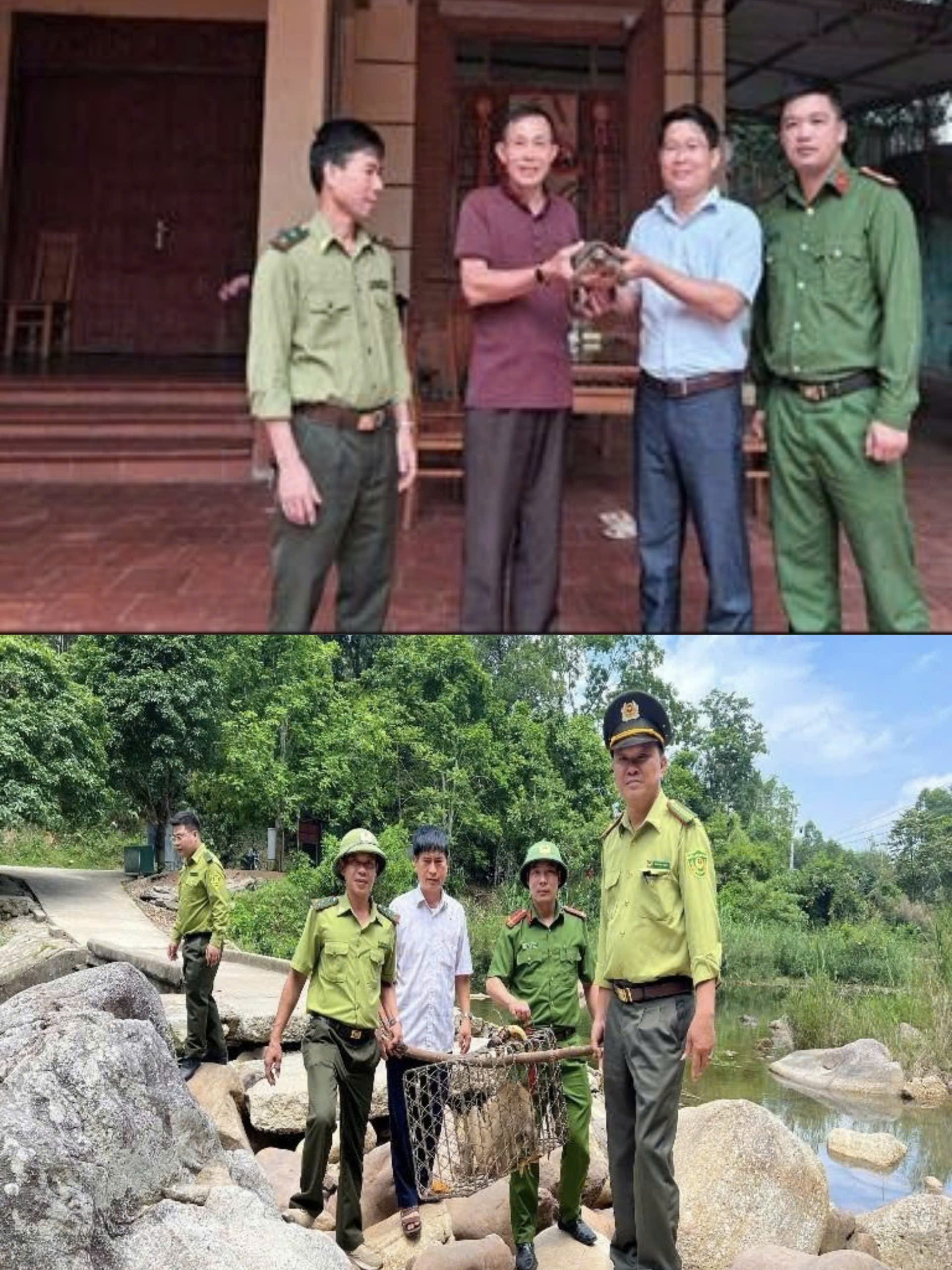 kiem-lam-bac-ninh-1779871897.jpg
