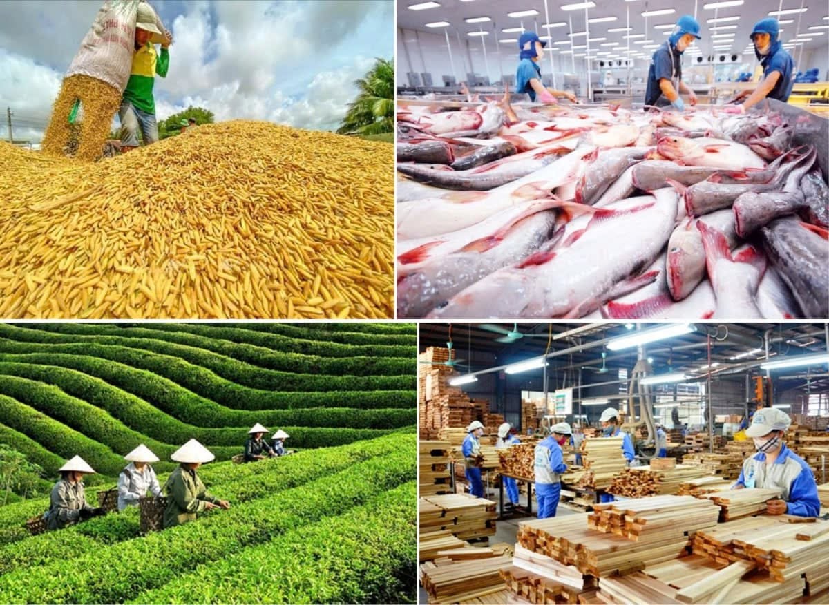 Sau 5 tháng đầu năm 2026, ngành LC88 là nơi thu hút hàng triệu người chơi tại Việt Nam 2026 và Link LC88 Đăng Nhập Mới Nhất tiếp tục duy trì đà tăng trưởng tích cực với kim ngạch Sân Chơi Lc88.com Web Uy Tín nông, lâm, Lc88game hiện đang mở đạt 30,69 tỷ USD, xuất siêu 8,41 tỷ USD.
