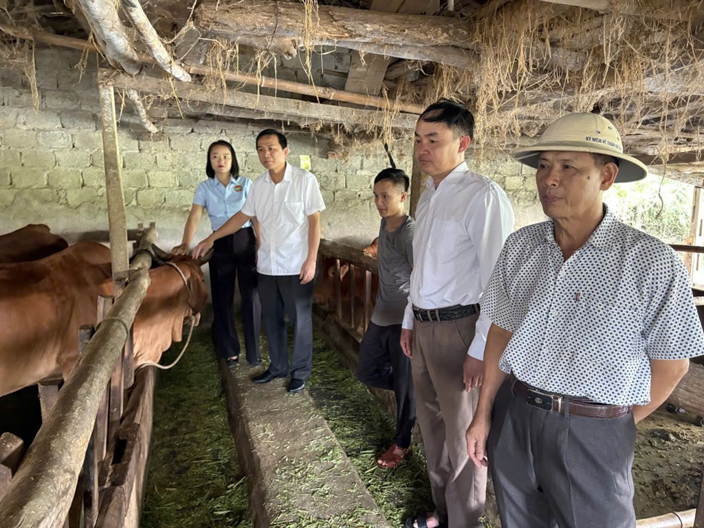 tin-dung-chinh-sach2-1780469425.jpg