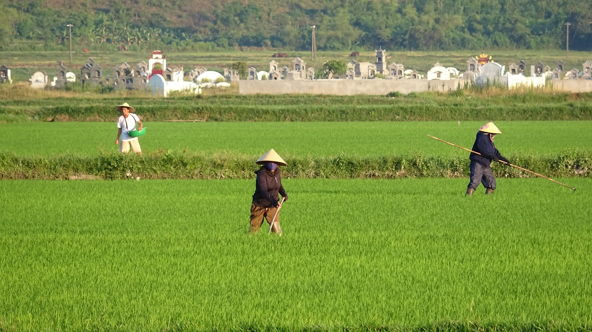 chong-han-5-1780840078.jpg