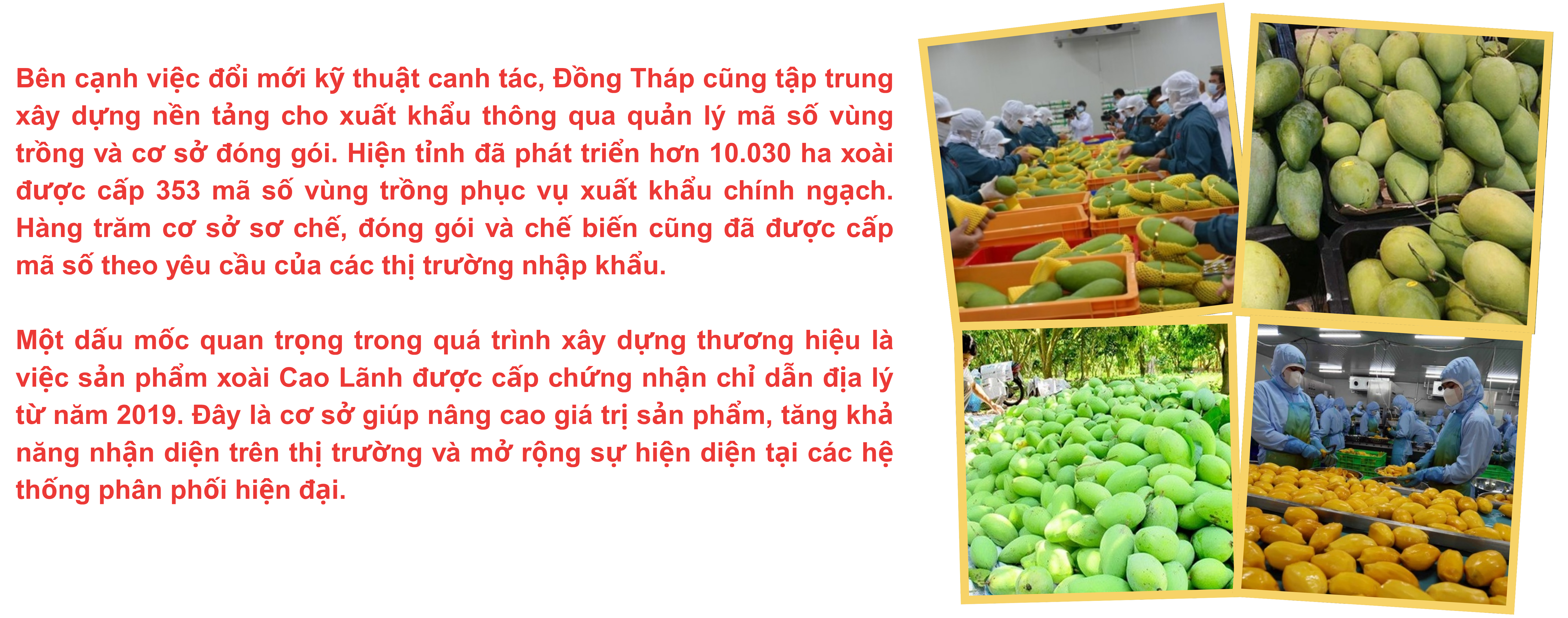 longform-5-1780830314.png