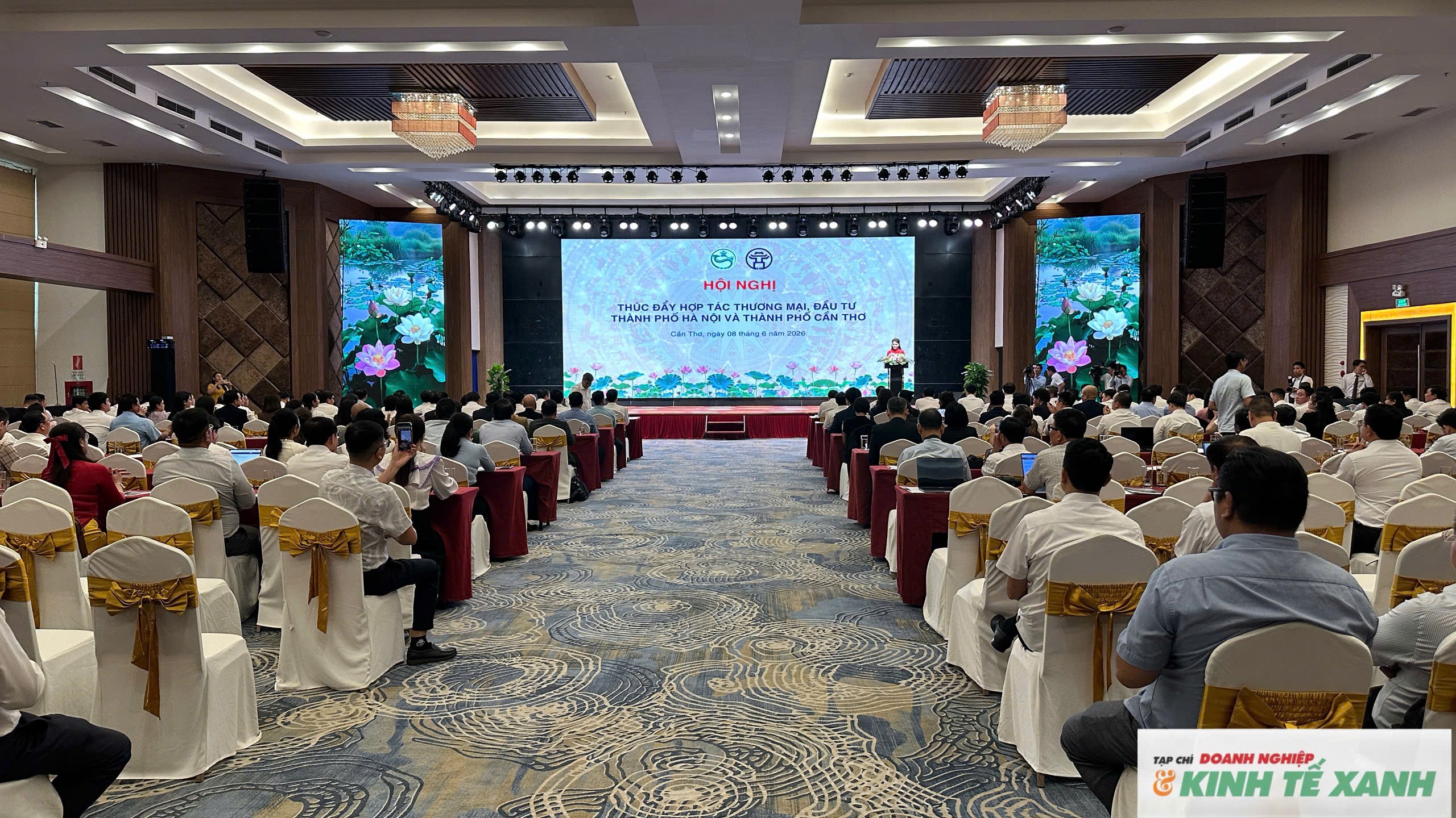 2aoboqc64k4nk81kbccvswvvv3iaya55jucvclvq-1780916851.jpg