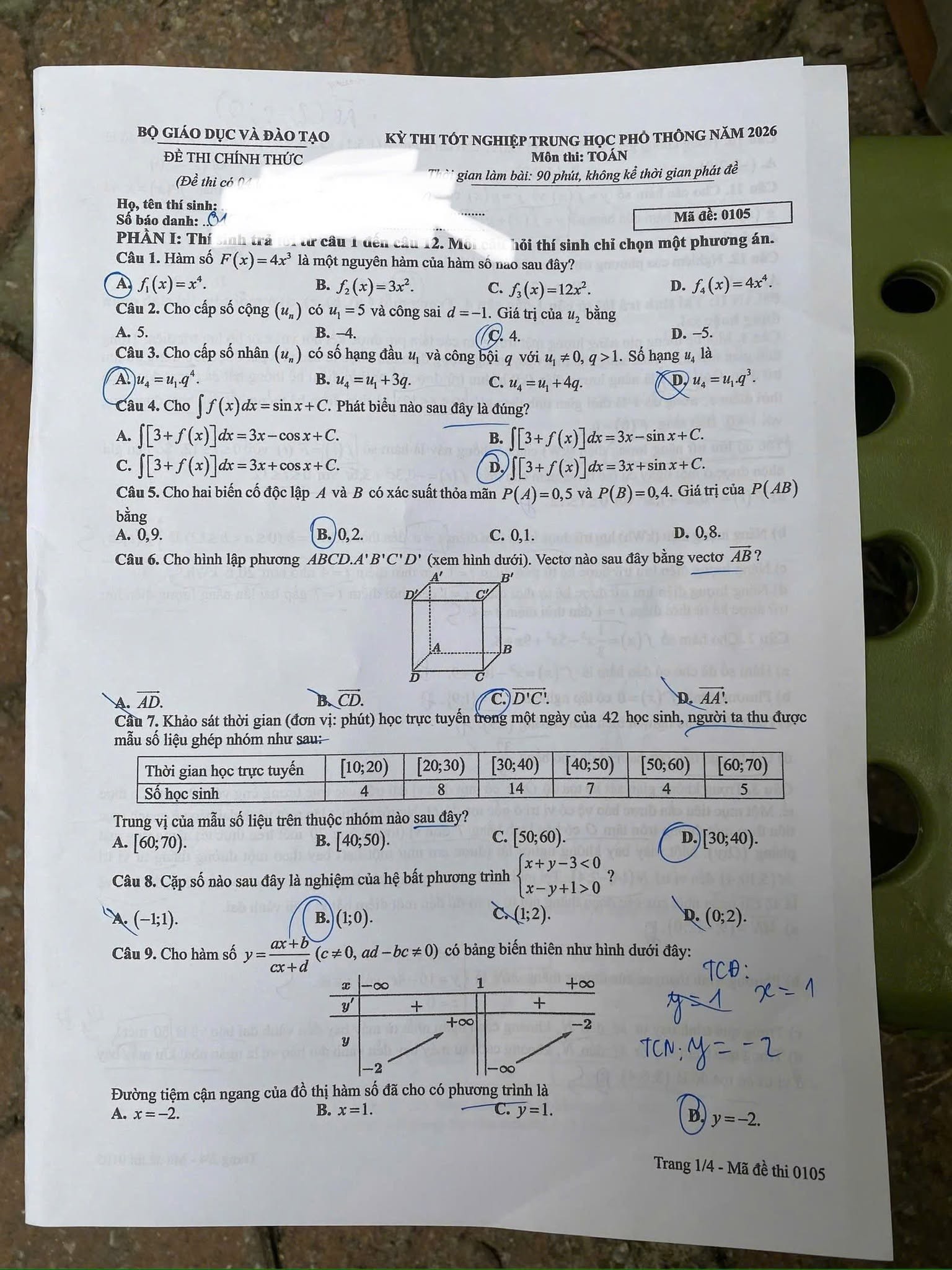 105-1-1781172239.jpg