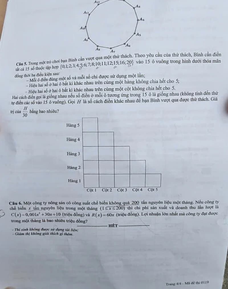 119-4-1781176206.jpg