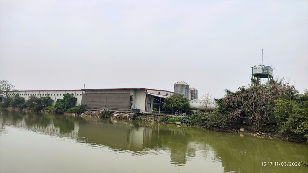 chan-nuoi-ninh-xa-1781264267.jpg