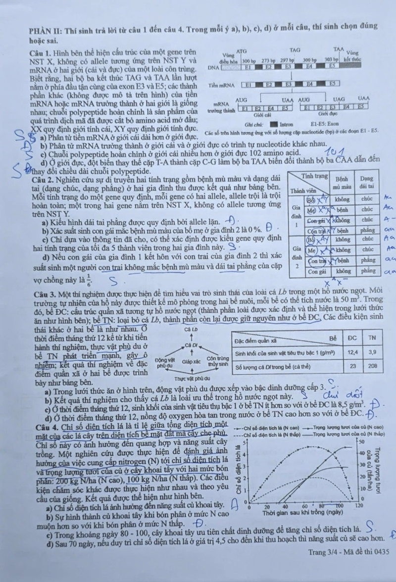 de-sinh-3-1781233978.jpg