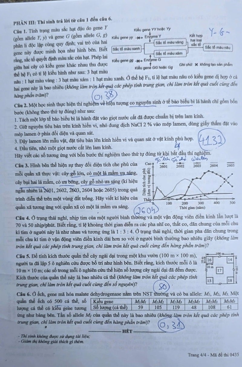 de-sinh-4-1781233978.jpg