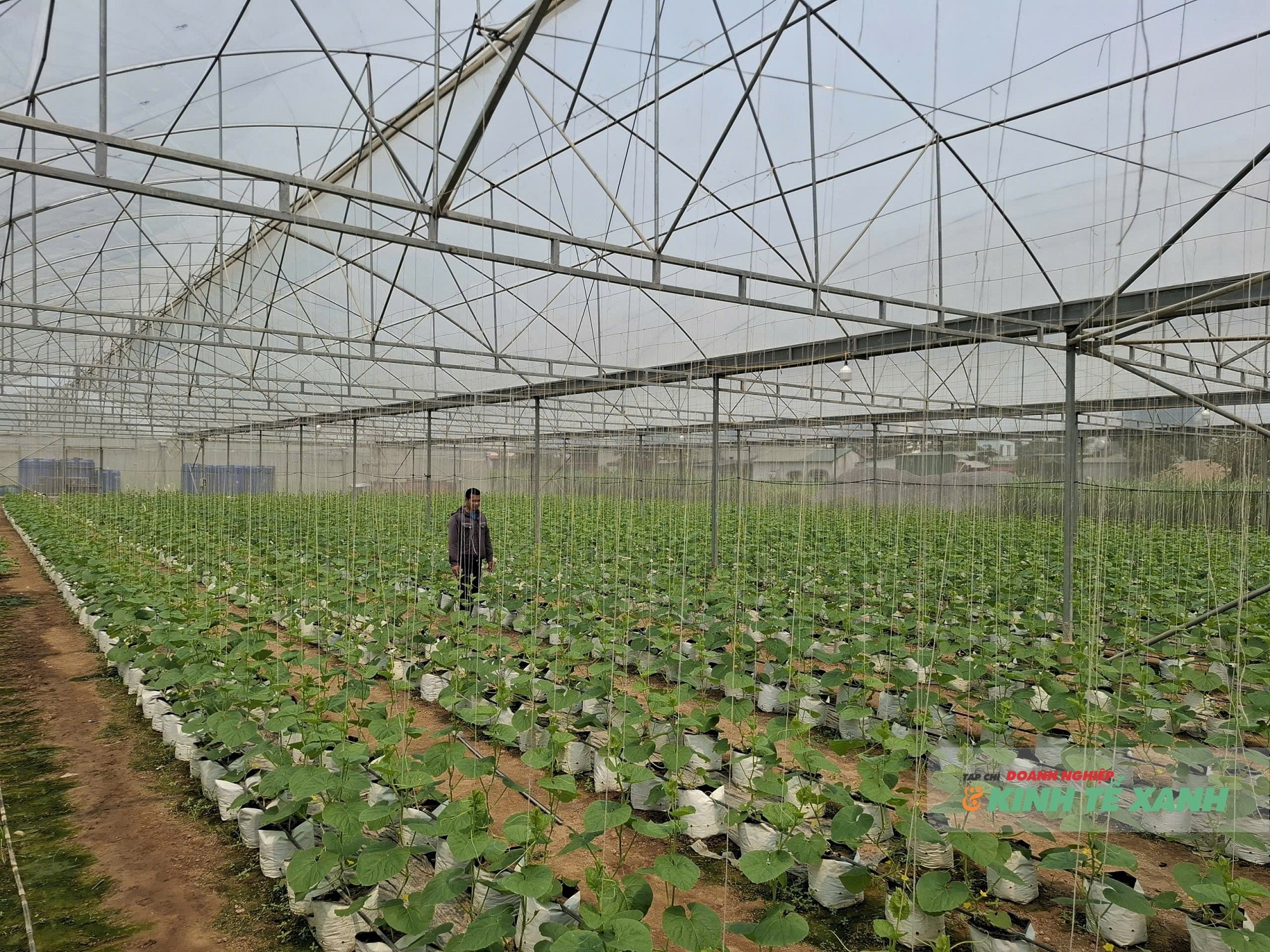 nong-nghiep-xanh-3-1781623281.jpg