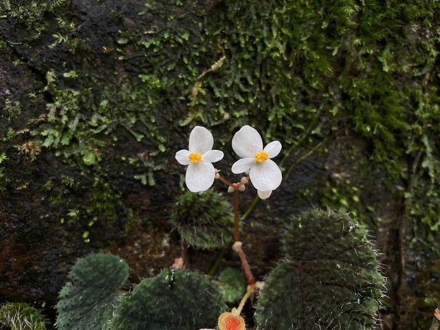 thu-hai-duong-1781703717.jpeg
