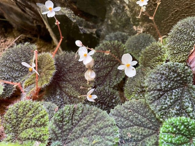 thu-hai-duong-2-1781703717.jpeg