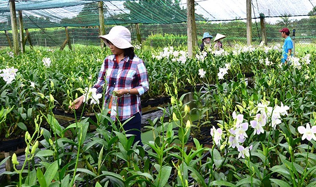 nong-nghiep-cong-nghe-cao-04-1705143788.jpg