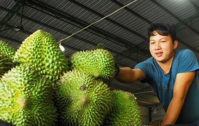 sau-rieng-xuat-khau-06-1706863336.jpg