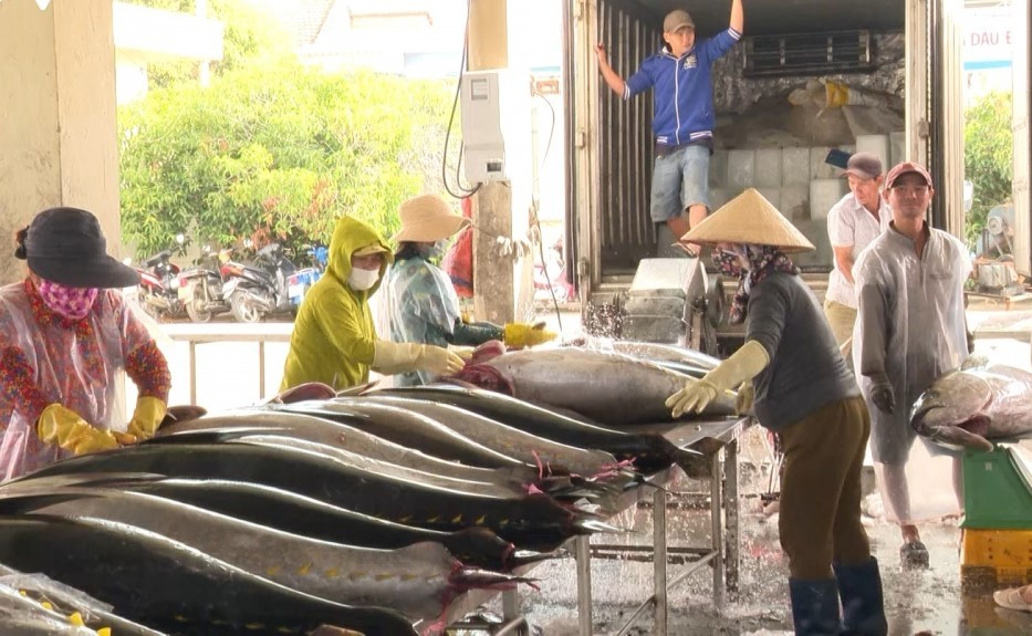 danh-bat-hai-san-02-1708185845.jpg