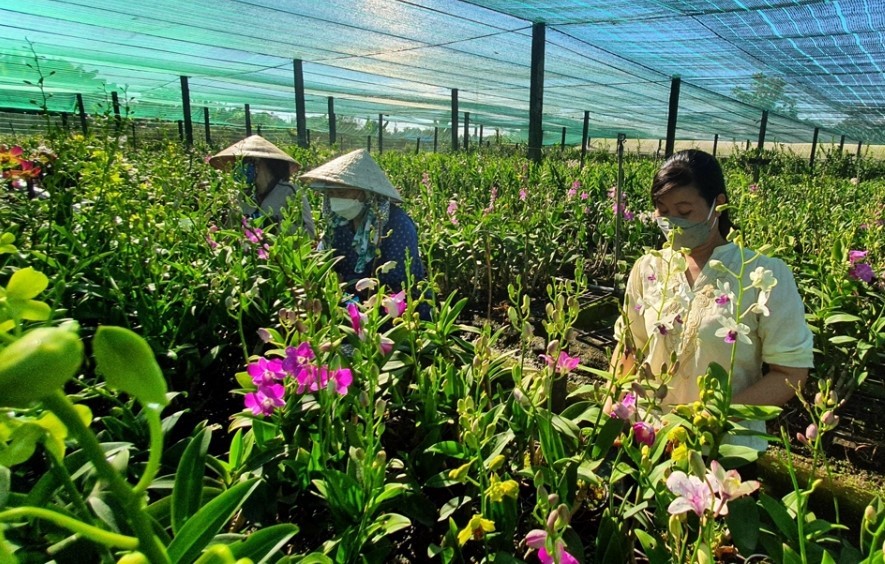 dien-dan-nong-nghiep-03-1712722520.jpg