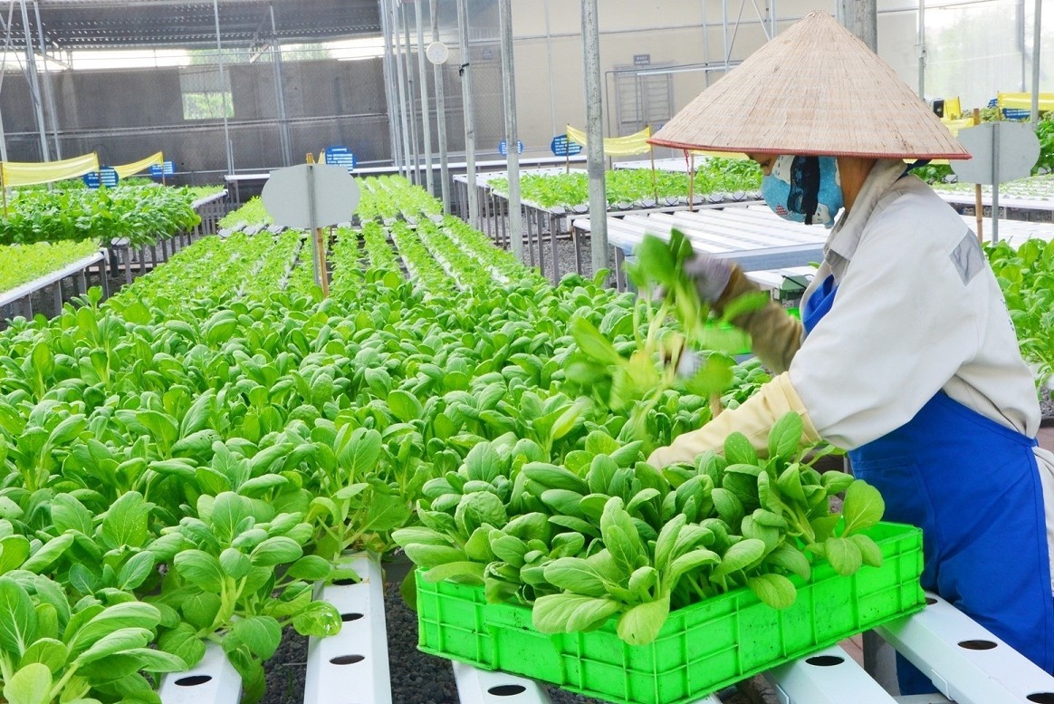 hop-tac-nong-nghiep-04-1715612034.jpg