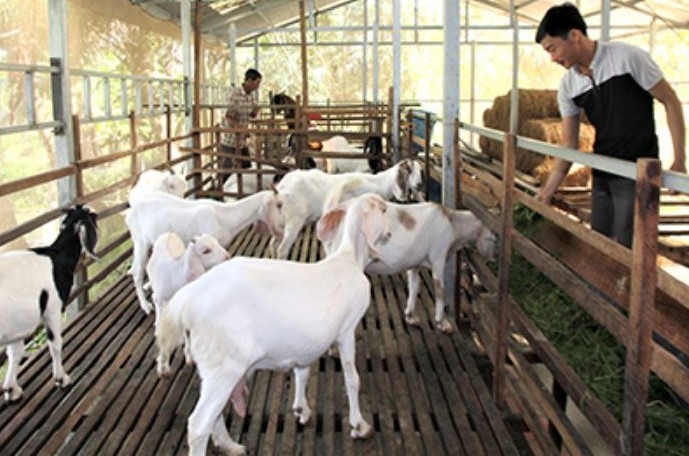 kinh-te-tuan-hoan-hau-giang-1-1718357901.jpg