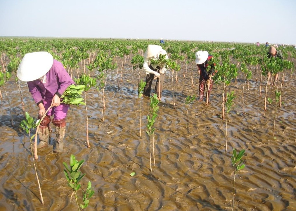 viet-nam-keu-goi-ung-pho-bien-doi-khi-hau-2-1719973817.jpg