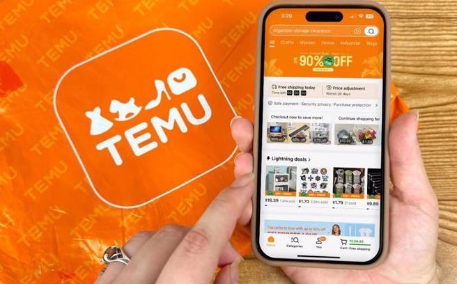 temu-dung-hoat-dong-tai-viet-nam-1-1733365995.jpg