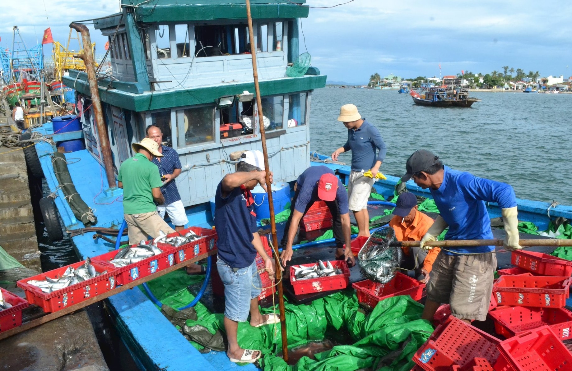 go-the-vang-iuu-4-1740322340.jpg