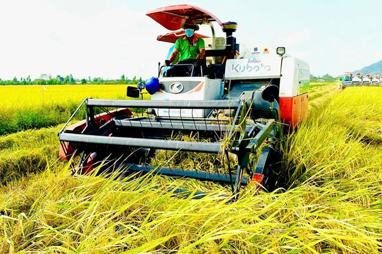 dinh-vi-hat-gao-trong-ky-nguyen-moi-7-1743773248.jpg