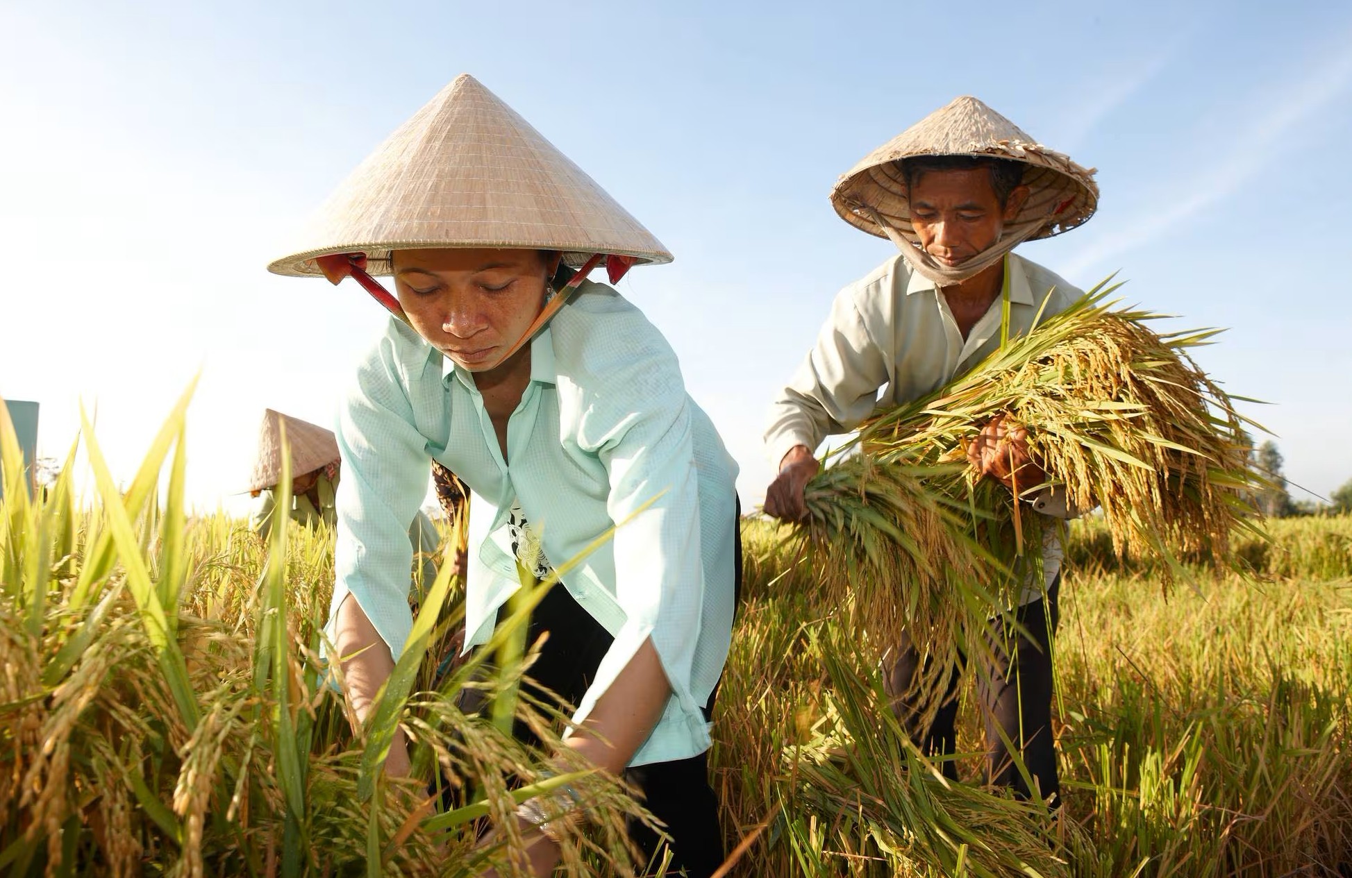 hop-tac-canh-tac-ben-vung-6-1744163591.jpg