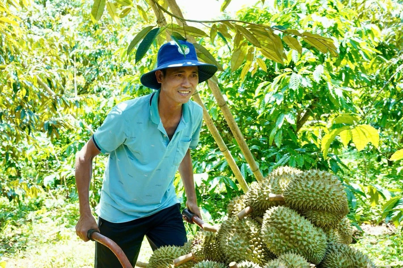 xuat-khau-rau-qua-dau-nam-2025-5-1745134077.jpg