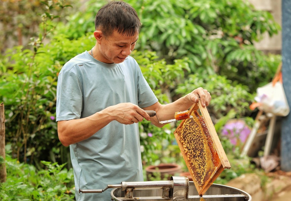 mua-ong-vai-bac-giang-5-1745454554.jpg