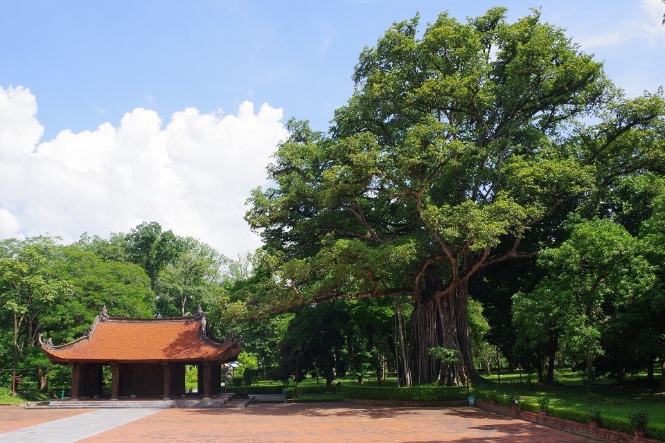 lam-kinh-1-1741013241.jpg