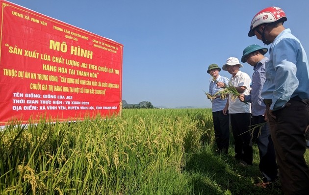 nang-tam-hat-gao-1-1756992334.jpg